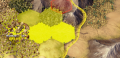 Yellow road.png